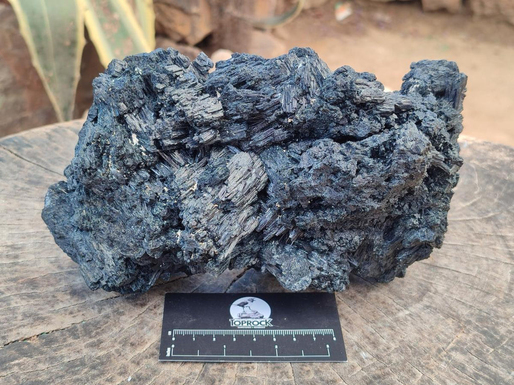 Natural XL Schorl Black Tourmaline Striated Crystalline Floater Specimen x 1 From Erongo, Namibia