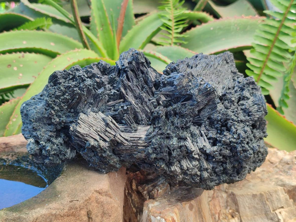 Natural XL Schorl Black Tourmaline Striated Crystalline Floater Specimen x 1 From Erongo, Namibia