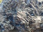 Natural XL Schorl Black Tourmaline Striated Crystalline Floater Specimen x 1 From Erongo, Namibia