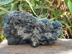 Natural XL Schorl Black Tourmaline Striated Crystalline Floater Specimen x 1 From Erongo, Namibia
