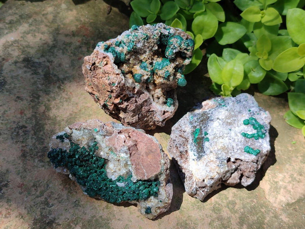 Natural Ball Malachite Specimens Coated with Drusy Quartz on Dolomite x 6 From Mindingi Mine, Kambove, Congo
