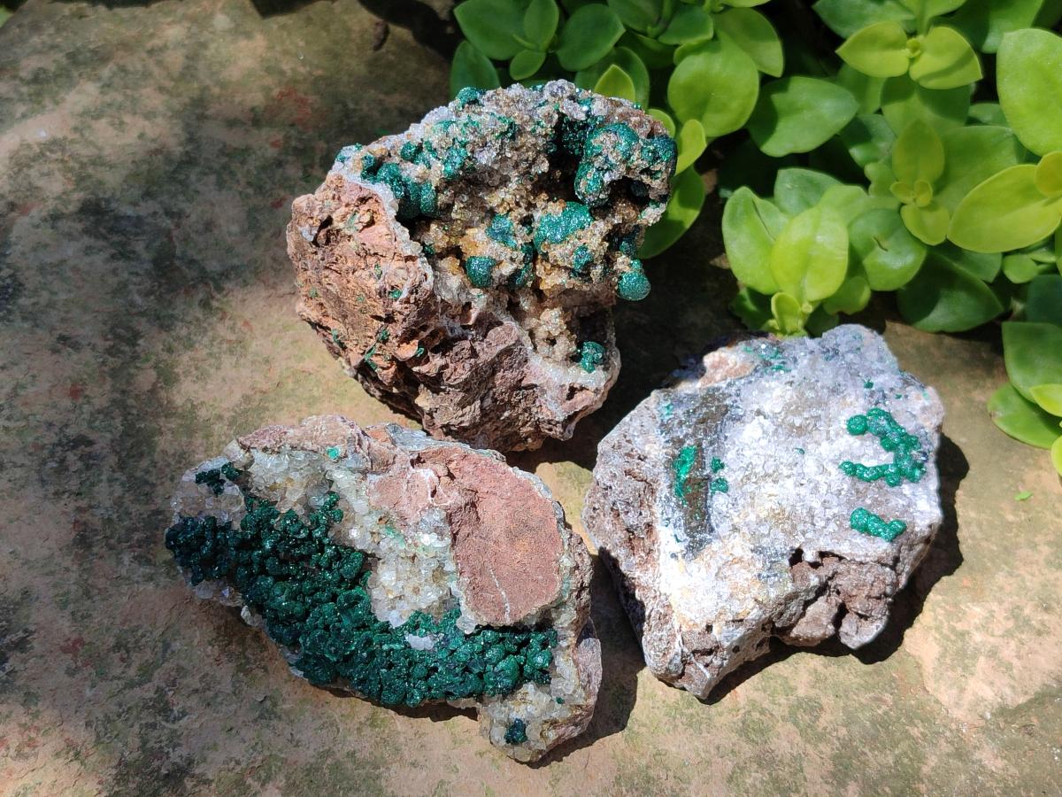 Natural Ball Malachite Specimens Coated with Drusy Quartz on Dolomite x 6 From Mindingi Mine, Kambove, Congo