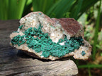 Natural Ball Malachite Specimens Coated with Drusy Quartz on Dolomite x 6 From Mindingi Mine, Kambove, Congo