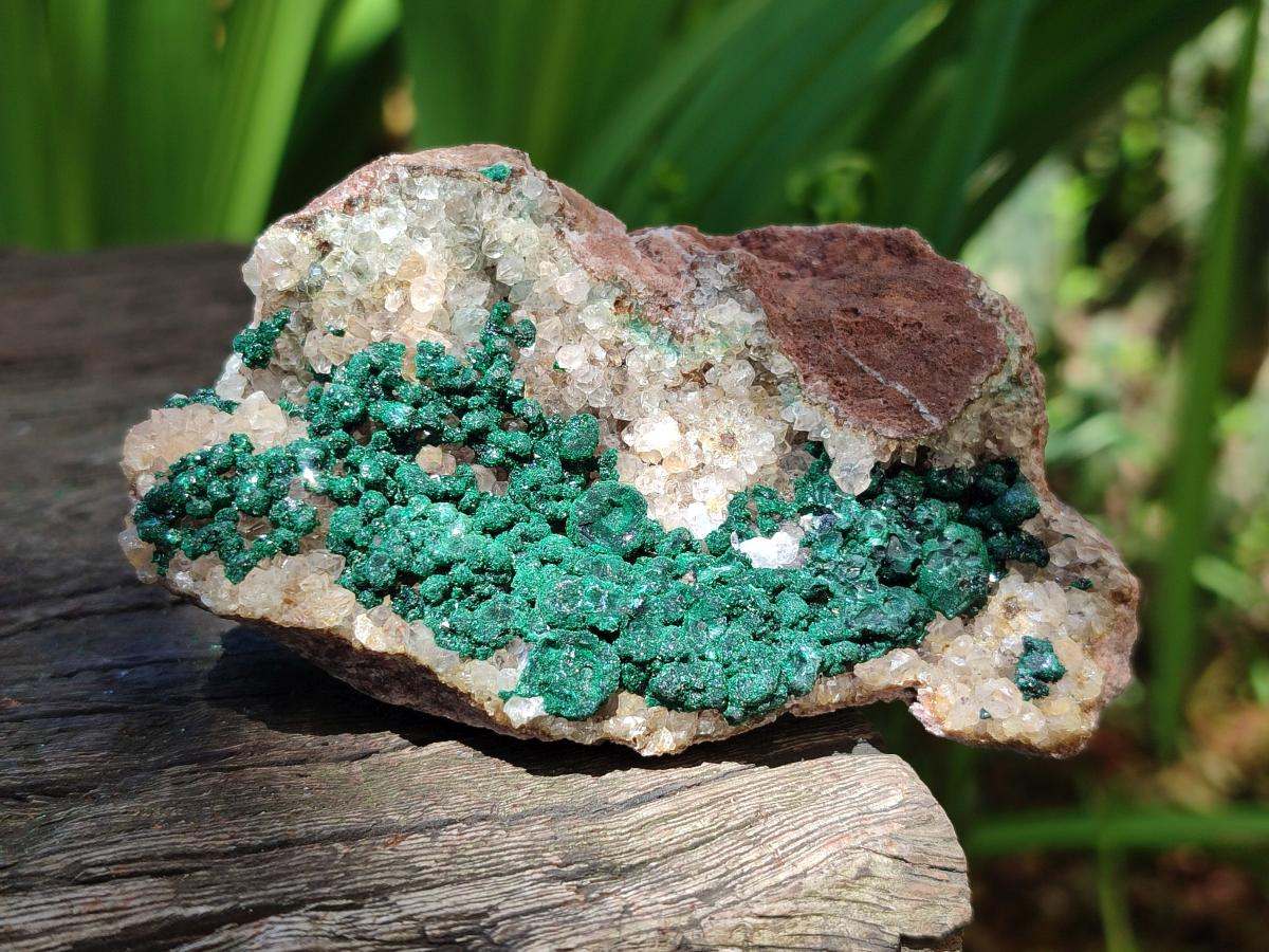 Natural Ball Malachite Specimens Coated with Drusy Quartz on Dolomite x 6 From Mindingi Mine, Kambove, Congo