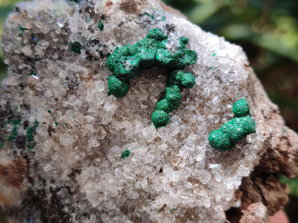 Natural Ball Malachite Specimens Coated with Drusy Quartz on Dolomite x 6 From Mindingi Mine, Kambove, Congo