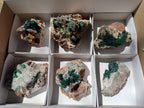 Natural Ball Malachite Specimens Coated with Drusy Quartz on Dolomite x 6 From Mindingi Mine, Kambove, Congo