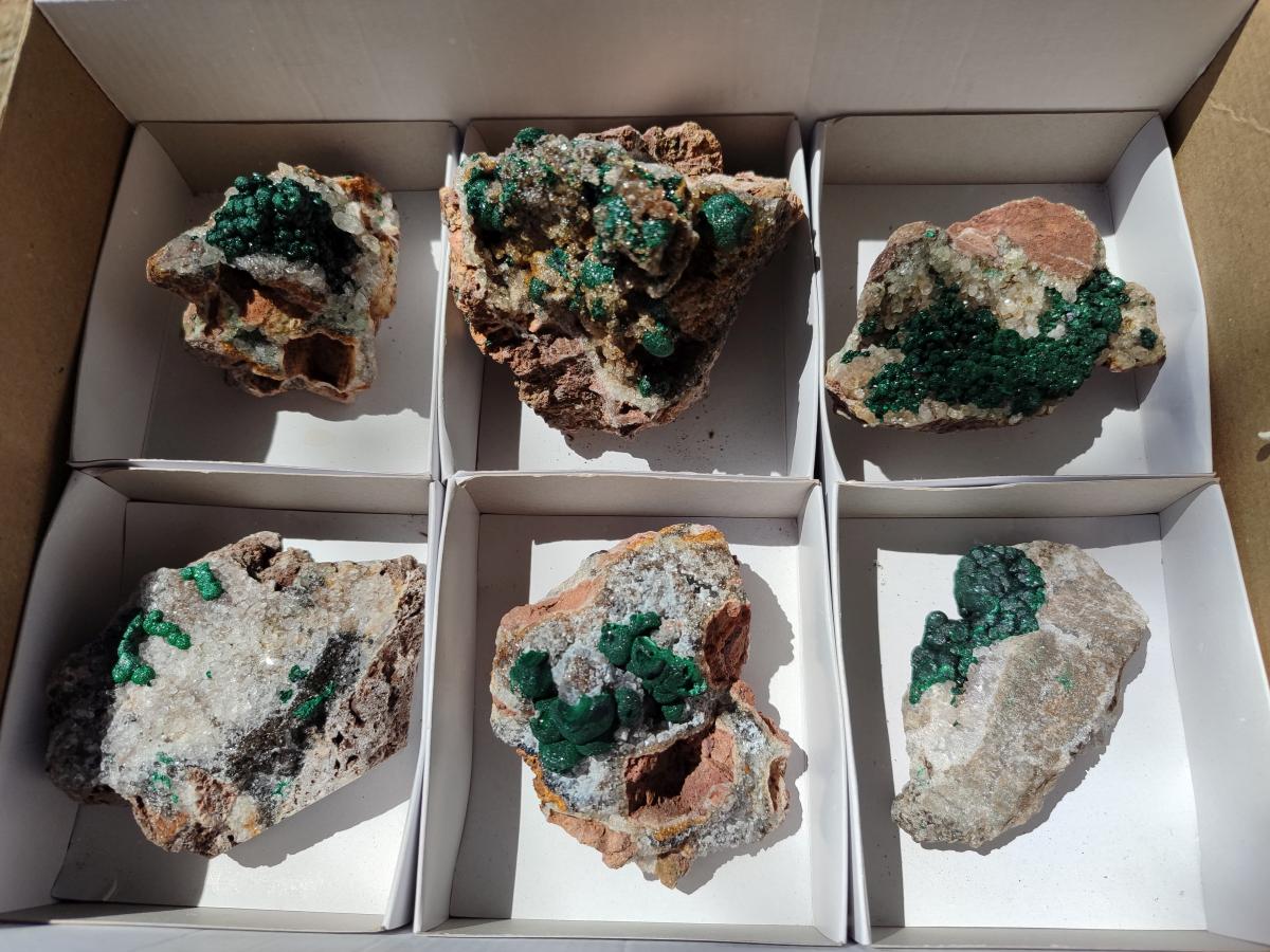 Natural Ball Malachite Specimens Coated with Drusy Quartz on Dolomite x 6 From Mindingi Mine, Kambove, Congo