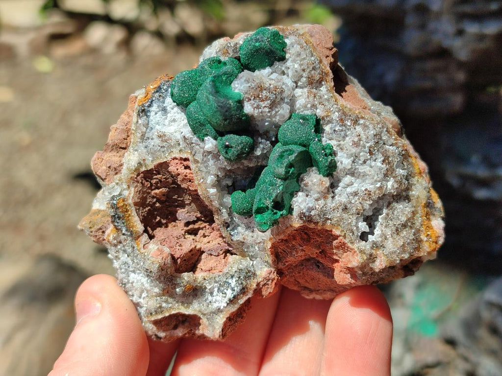 Natural Ball Malachite Specimens Coated with Drusy Quartz on Dolomite x 6 From Mindingi Mine, Kambove, Congo