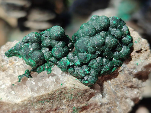 Natural Ball Malachite Specimens Coated with Drusy Quartz on Dolomite x 6 From Mindingi Mine, Kambove, Congo