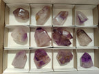 Polished Dark Purple Skeletal Window Amethyst Crystals x 12 From Akansobe, Madagascar