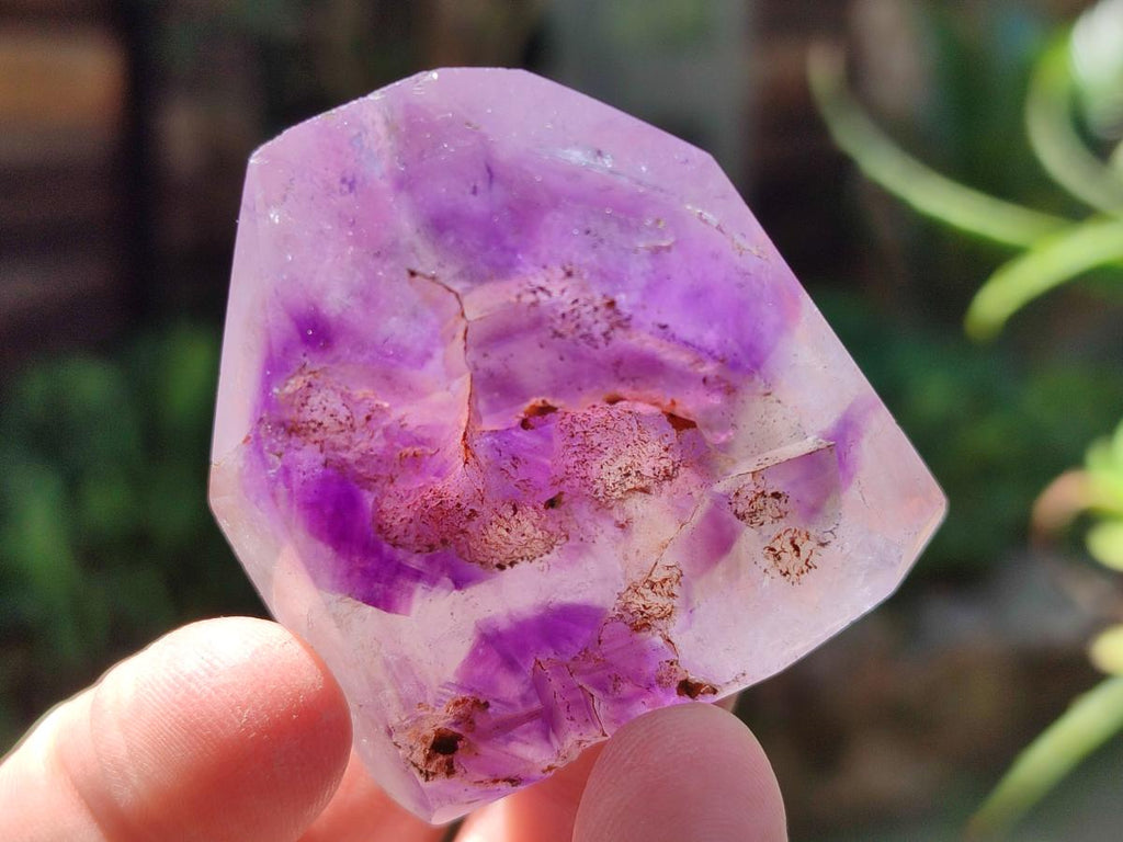 Polished Dark Purple Skeletal Window Amethyst Crystals x 12 From Akansobe, Madagascar