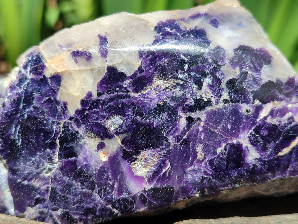 Polished One Side Silver Leaf Lepidolite Slices x 6 From Zimbabwe