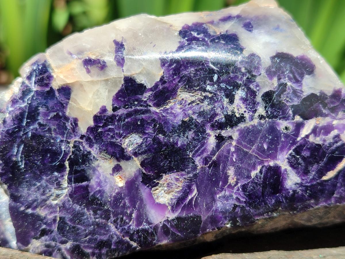Polished One Side Silver Leaf Lepidolite Slices x 6 From Zimbabwe