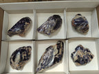 Polished One Side Silver Leaf Lepidolite Slices x 6 From Zimbabwe