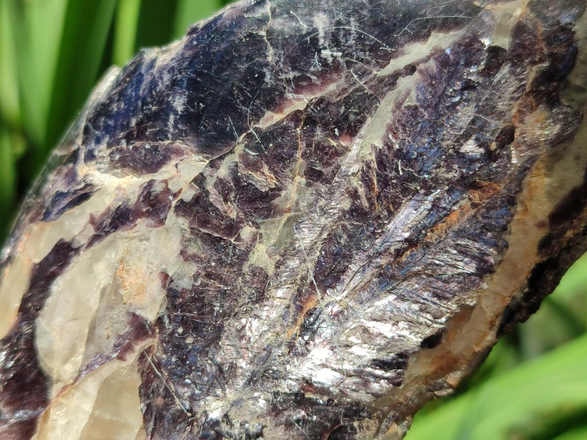 Polished One Side Silver Leaf Lepidolite Slices x 6 From Zimbabwe