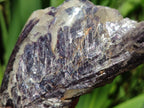 Polished One Side Silver Leaf Lepidolite Slices x 6 From Zimbabwe