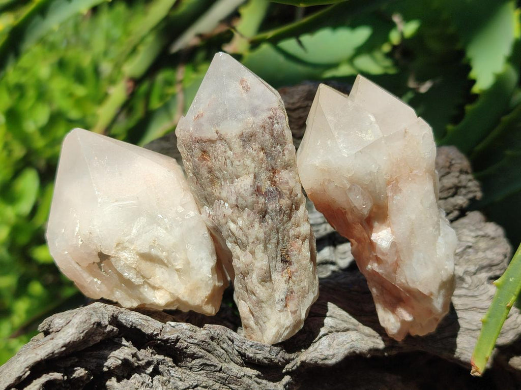 Natural Cascading Single Pineapple Quartz Crystals x 24 From Antsirabe, Madagascar