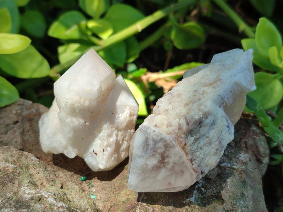 Natural Cascading Single Pineapple Quartz Crystals x 24 From Antsirabe, Madagascar