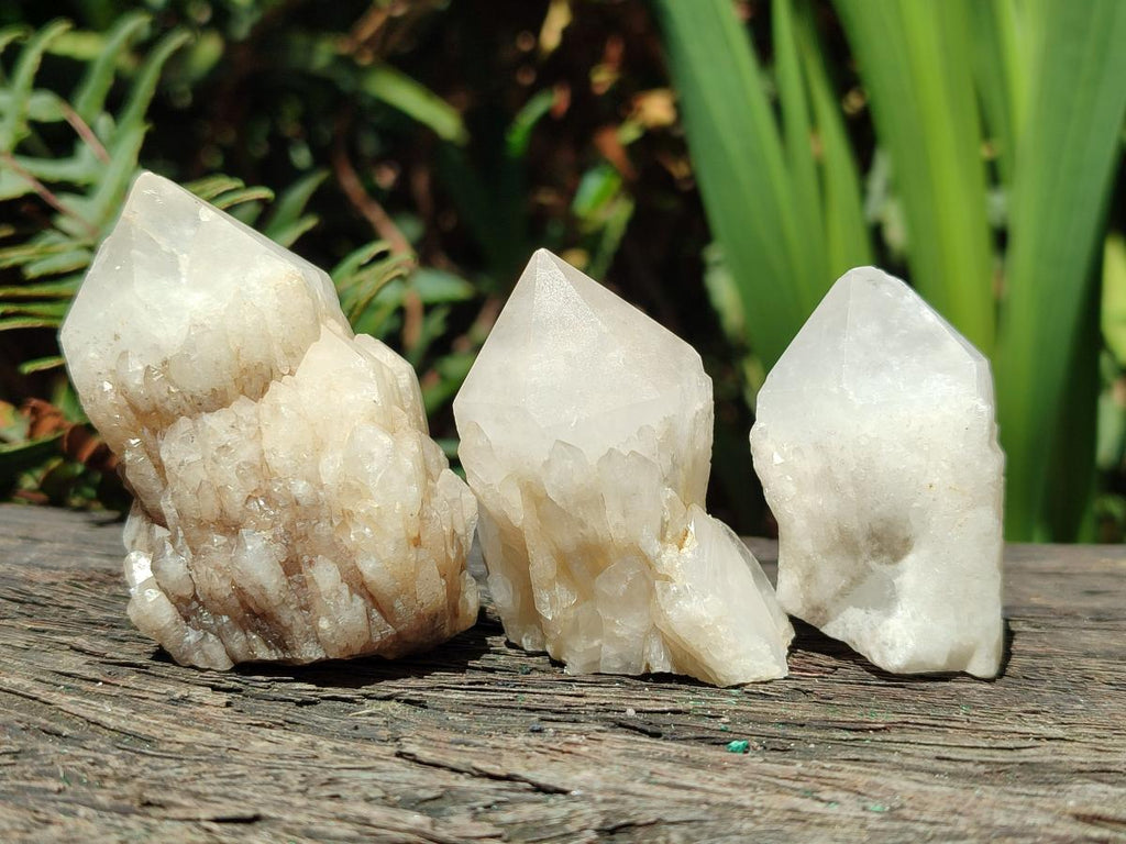Natural Cascading Single Pineapple Quartz Crystals x 24 From Antsirabe, Madagascar