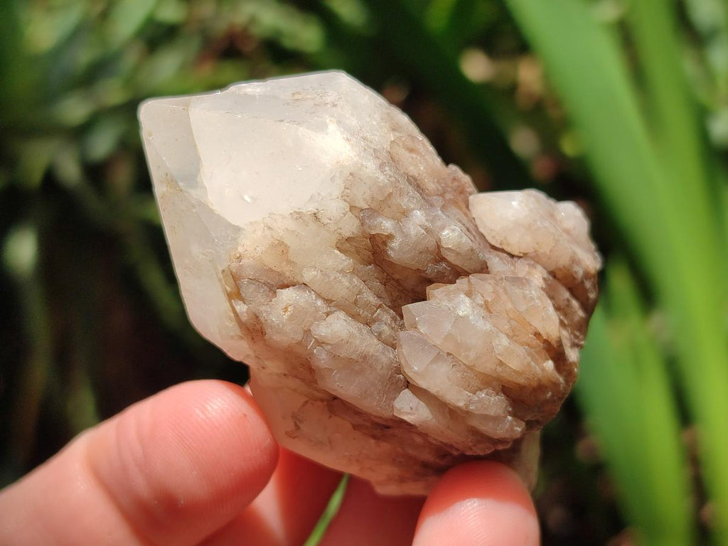 Natural Cascading Single Pineapple Quartz Crystals x 24 From Antsirabe, Madagascar