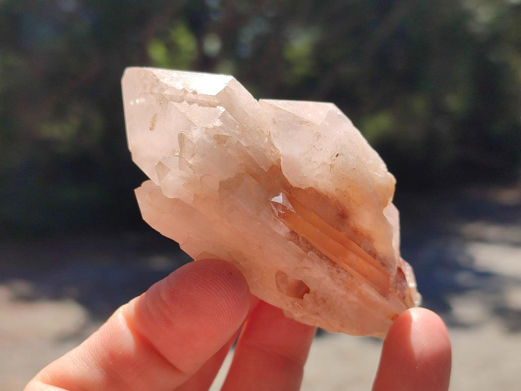 Natural Cascading Single Pineapple Quartz Crystals x 24 From Antsirabe, Madagascar