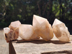 Natural Cascading Single Pineapple Quartz Crystals x 24 From Antsirabe, Madagascar