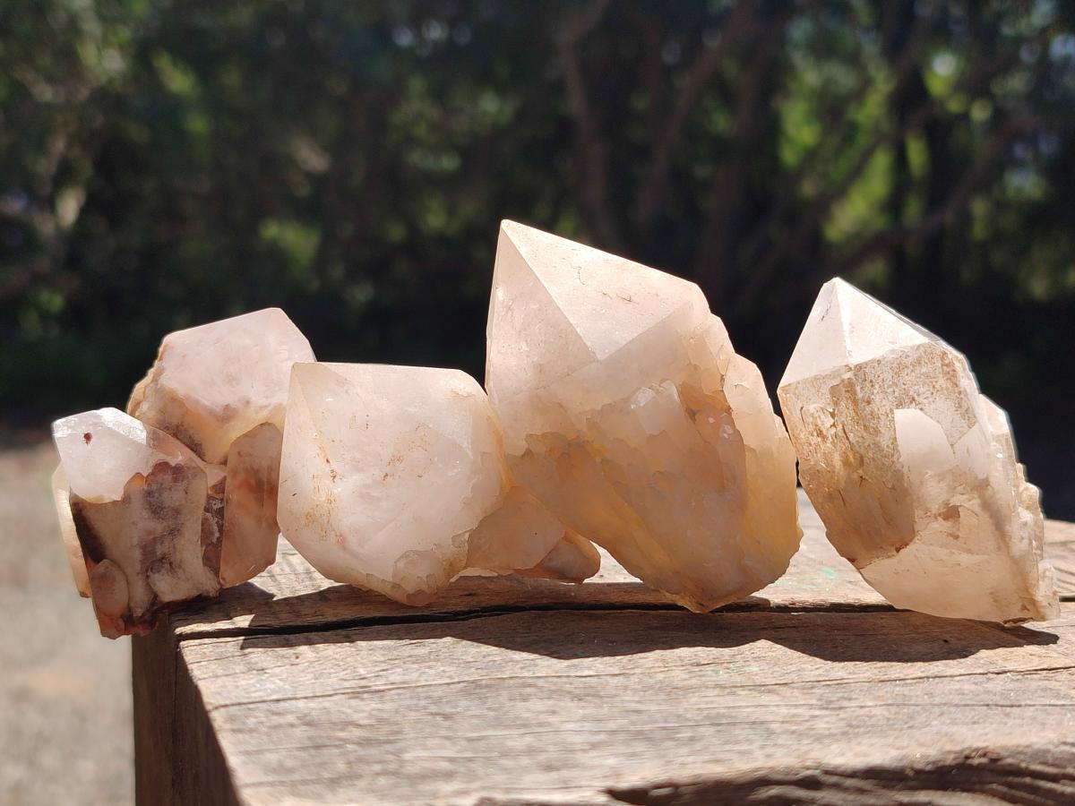 Natural Cascading Single Pineapple Quartz Crystals x 24 From Antsirabe, Madagascar