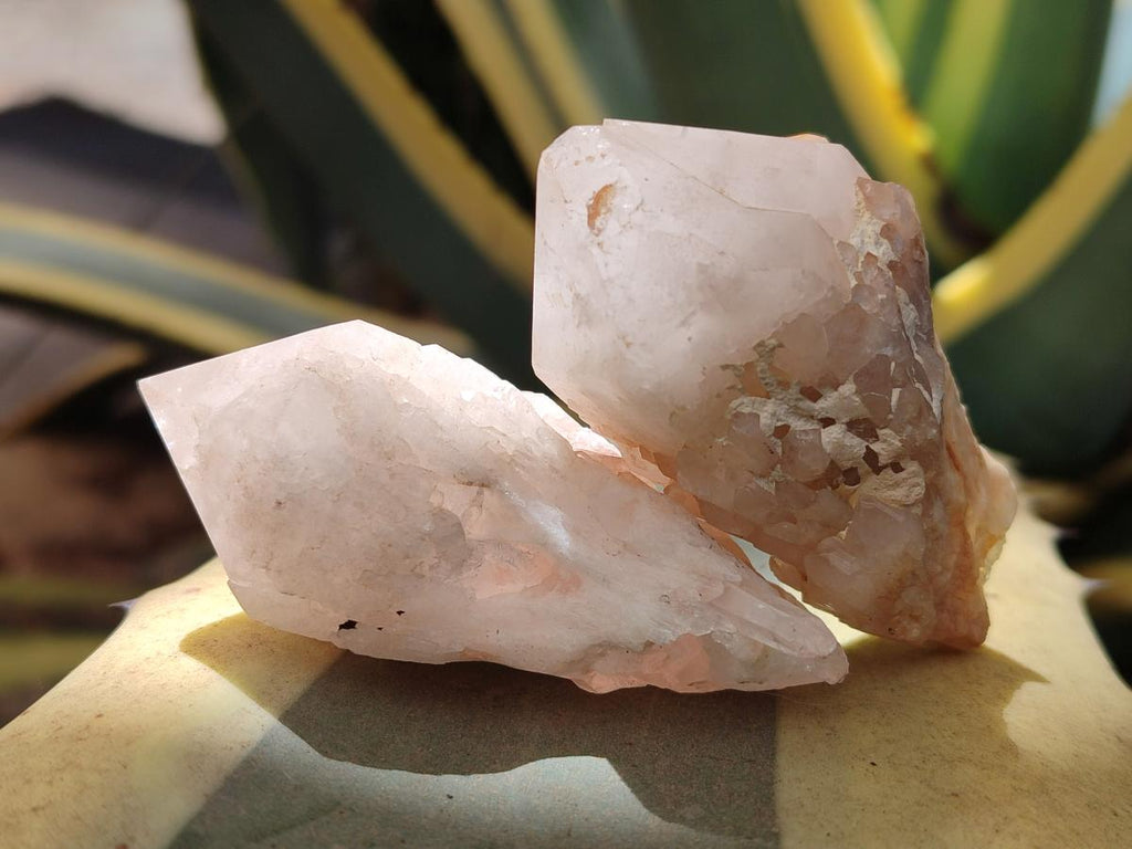 Natural Cascading Single Pineapple Quartz Crystals x 24 From Antsirabe, Madagascar