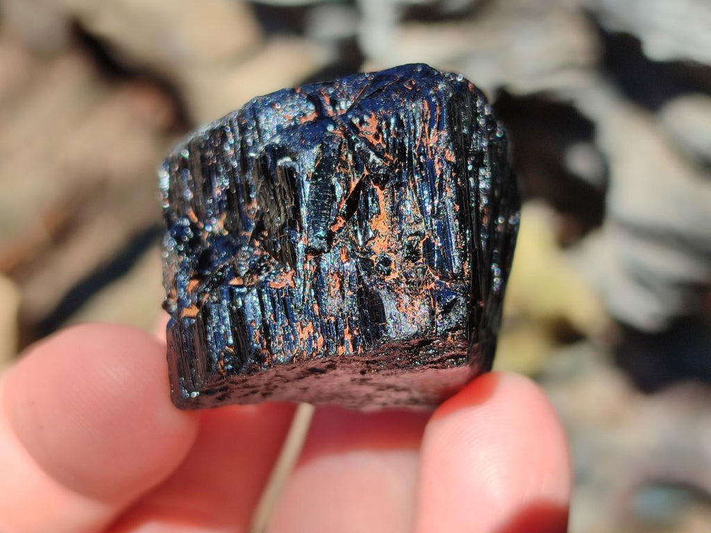 Natural Rough Black Tourmaline Semi Crystals x 36 From Zambia