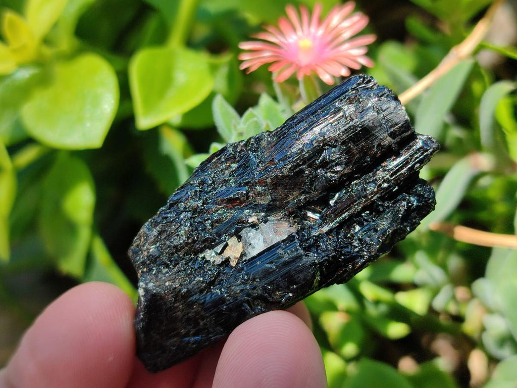 Natural Rough Black Tourmaline Semi Crystals x 36 From Zambia