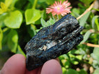 Natural Rough Black Tourmaline Semi Crystals x 36 From Zambia