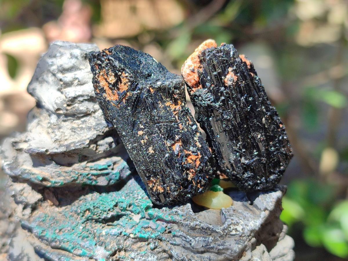 Natural Rough Black Tourmaline Semi Crystals x 36 From Zambia
