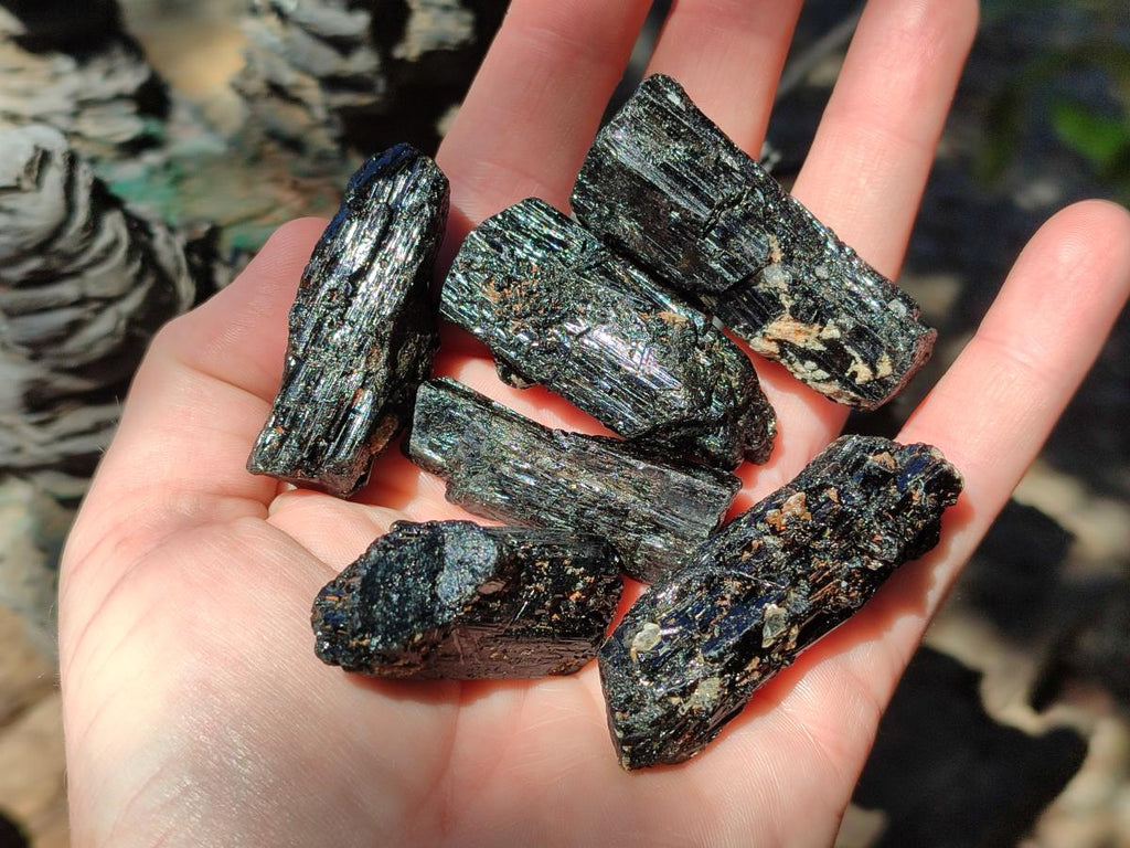 Natural Rough Black Tourmaline Semi Crystals x 36 From Zambia