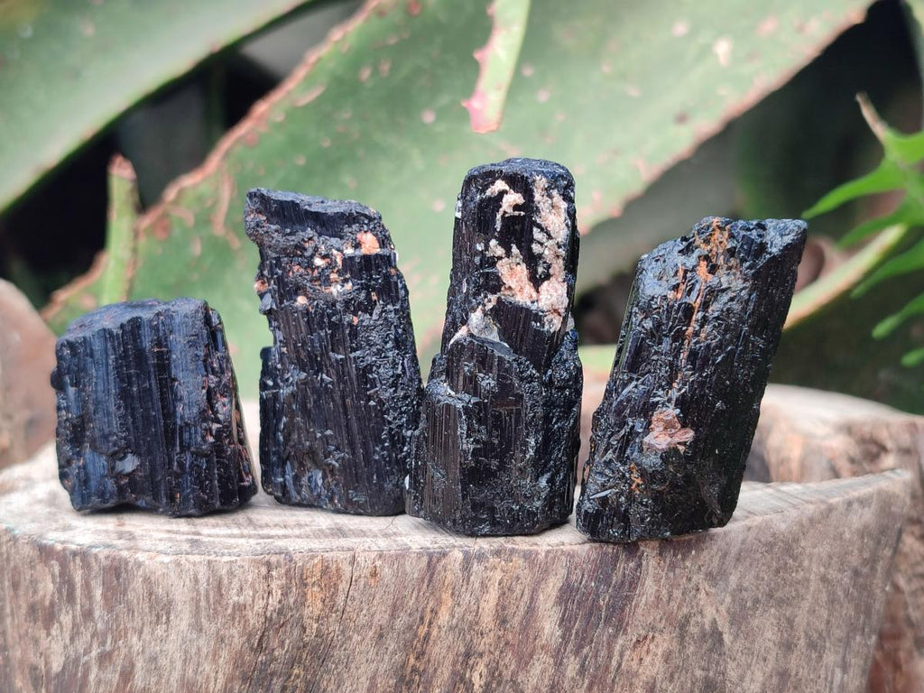 Natural Rough Black Tourmaline Semi Crystals x 36 From Zambia