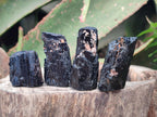 Natural Rough Black Tourmaline Semi Crystals x 36 From Zambia