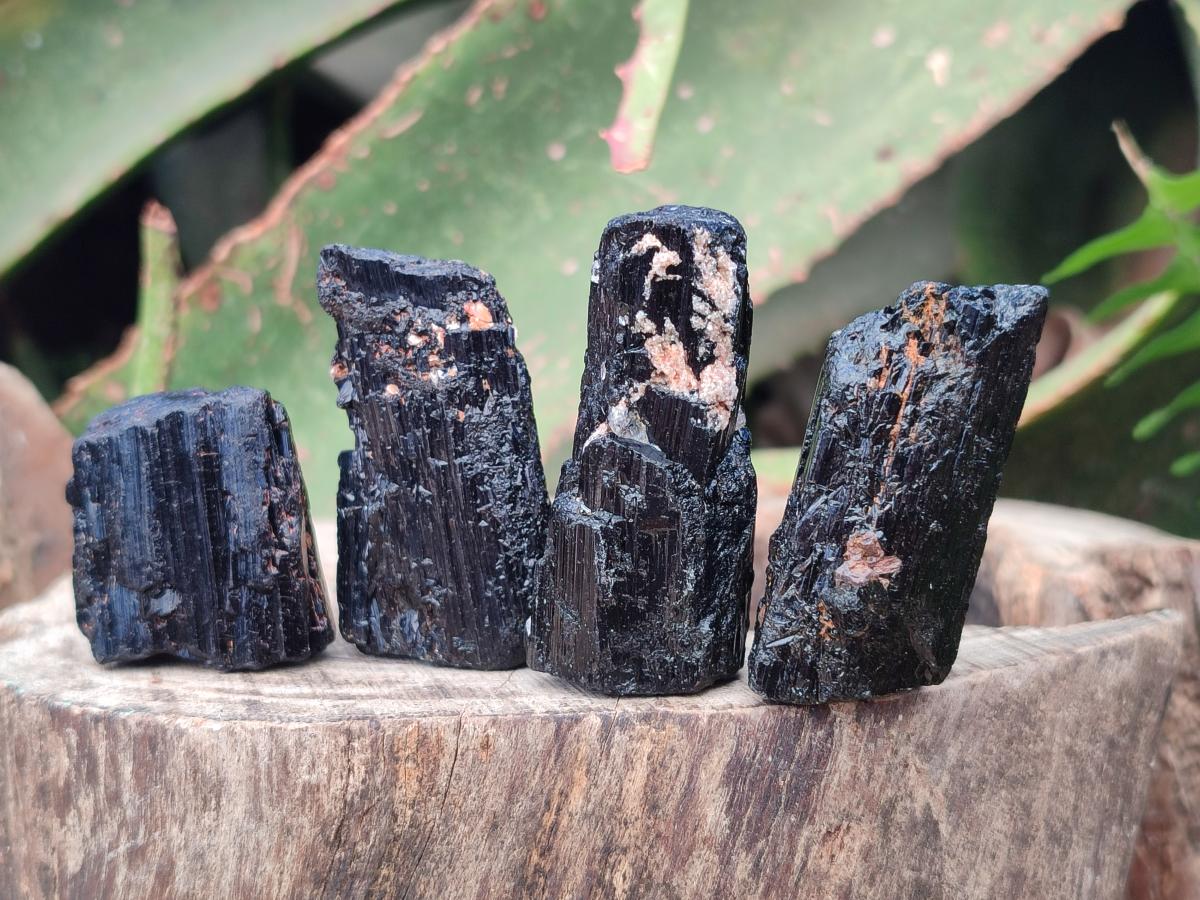 Natural Rough Black Tourmaline Semi Crystals x 36 From Zambia
