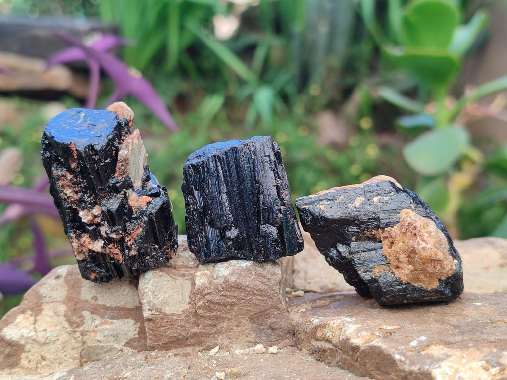 Natural Rough Black Tourmaline Semi Crystals x 36 From Zambia