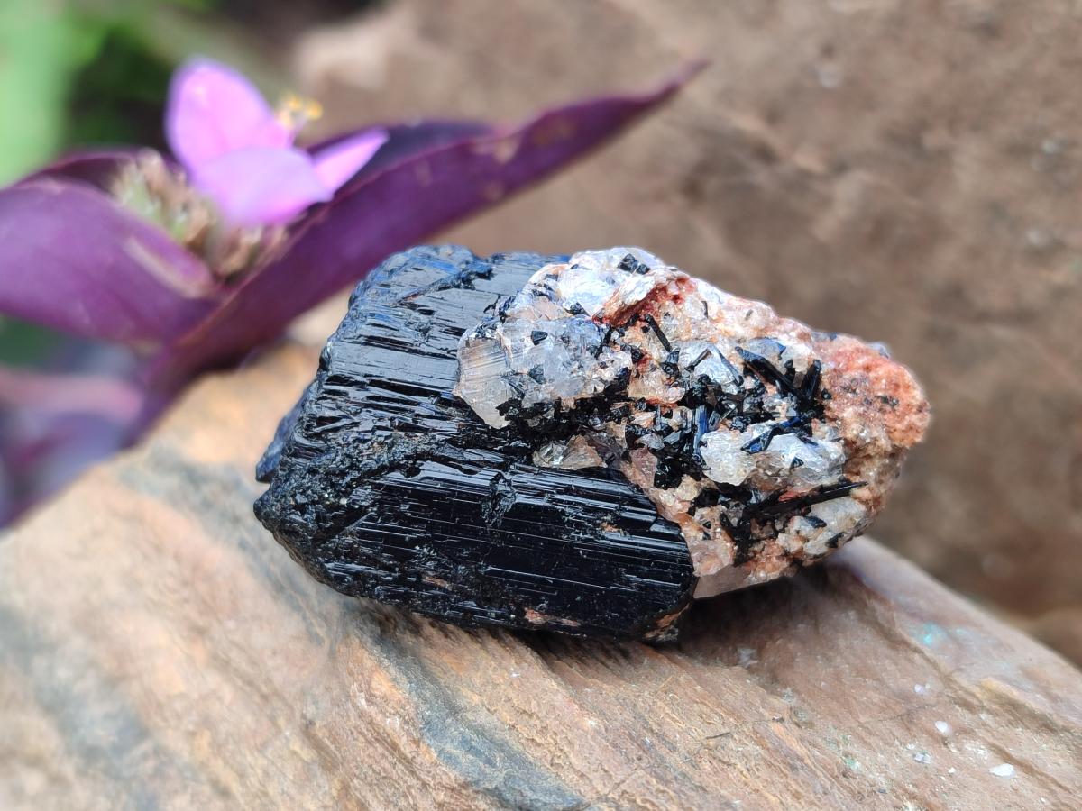 Natural Rough Black Tourmaline Semi Crystals x 36 From Zambia