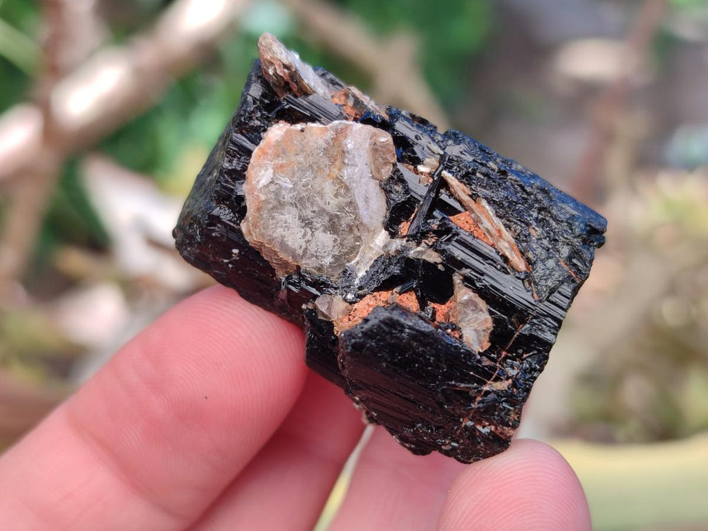 Natural Rough Black Tourmaline Semi Crystals x 36 From Zambia