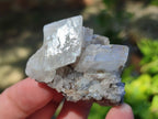 Natural Stacked Rhombohedral Calcite Specimens with Spearhead Stems x 35 From Albert's Mountain, Lesotho