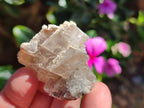 Natural Stacked Rhombohedral Calcite Specimens with Spearhead Stems x 35 From Albert's Mountain, Lesotho