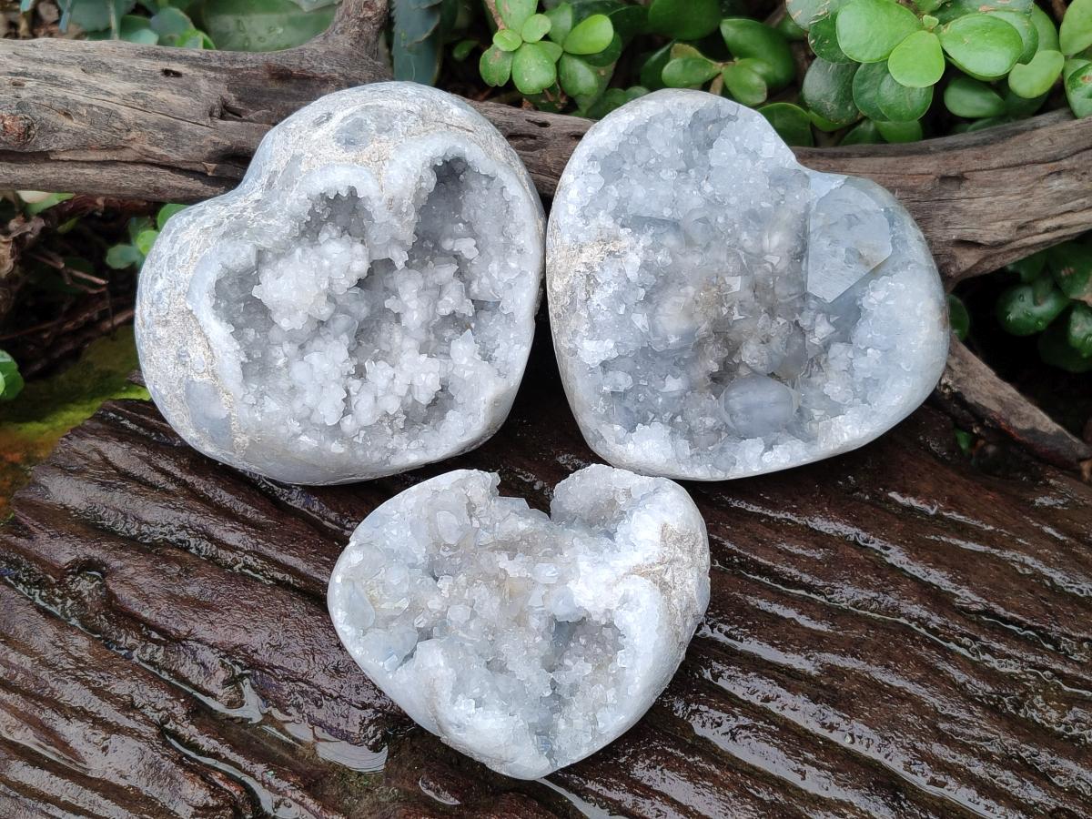 Polished and Natural Blue Celestite Hearts x 3 From Sakoany, Madagascar - Toprock Gemstones and Minerals 