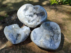 Polished and Natural Blue Celestite Hearts x 3 From Sakoany, Madagascar - Toprock Gemstones and Minerals 