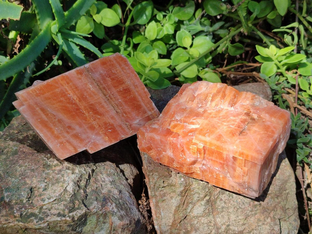 Natural Rhombohedral Sunset Orange Calcite Specimens x 4 From Spitzkop, Namibia