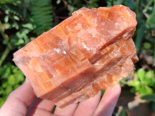 Natural Rhombohedral Sunset Orange Calcite Specimens x 4 From Spitzkop, Namibia
