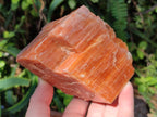 Natural Rhombohedral Sunset Orange Calcite Specimens x 4 From Spitzkop, Namibia