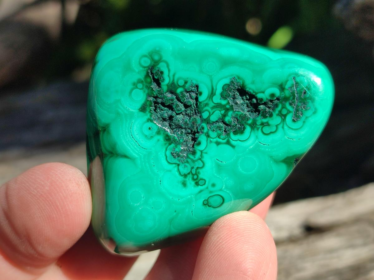 Polished Flower Banded Malachite Free Forms x 12 From Congo