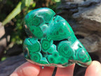 Polished Flower Banded Malachite Free Forms x 12 From Congo
