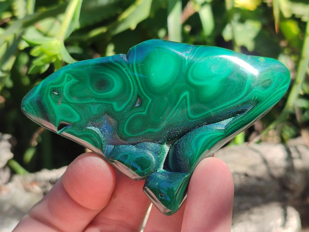 Polished Flower Banded Malachite Free Forms x 12 From Congo
