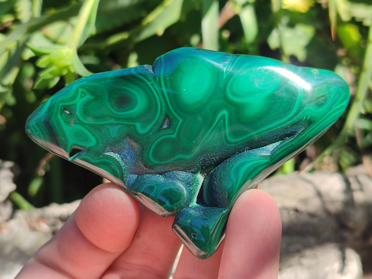 Polished Flower Banded Malachite Free Forms x 12 From Congo